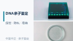 广西司法DNA鉴定哪里做的准，广西司法DNA亲子鉴定机构地址查询