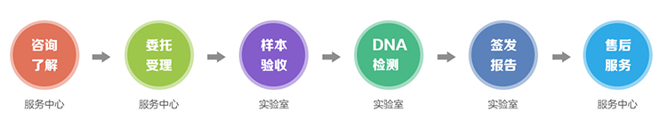 匿名亲子鉴定流程